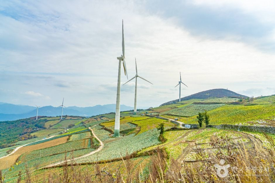 매봉산풍력발전단지(바람의 언덕) 여행 추천 - 로드트립