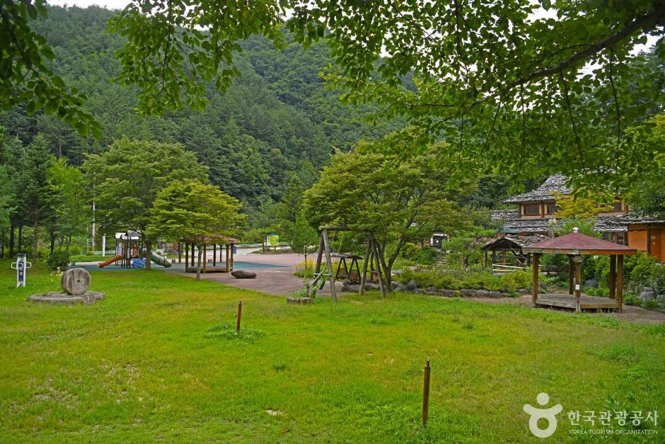 삼척 신리너와마을 여행 추천 - 로드트립