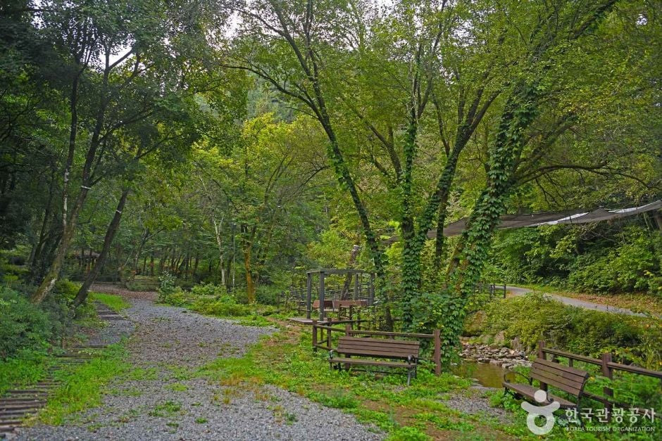 망경대산자연휴양림 여행 추천 - 로드트립