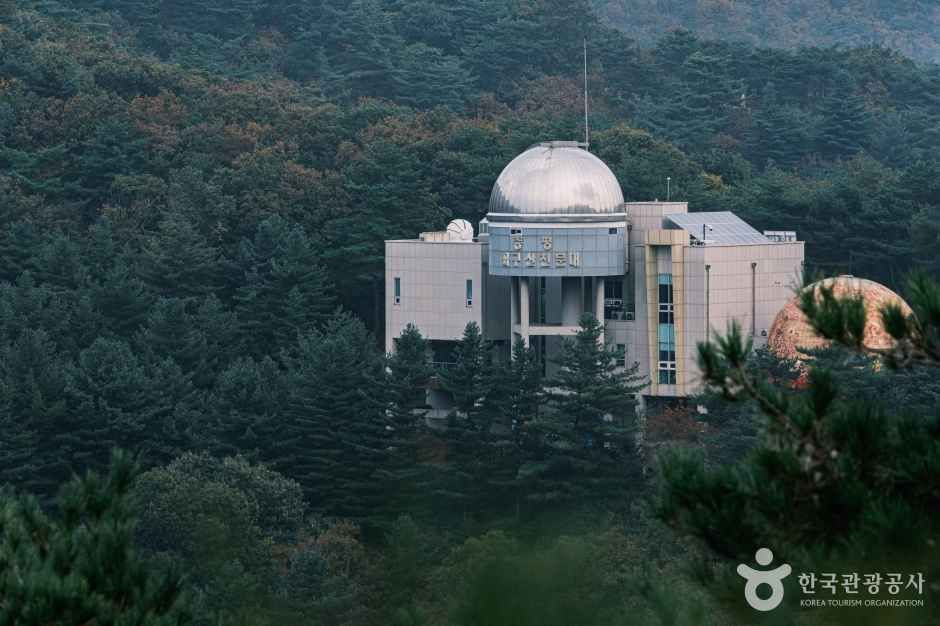 좌구산 자연휴양림 여행 추천 - 로드트립