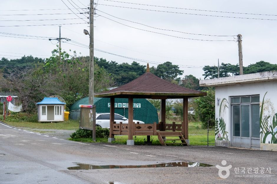서산 회포마을 여행 추천 - 로드트립