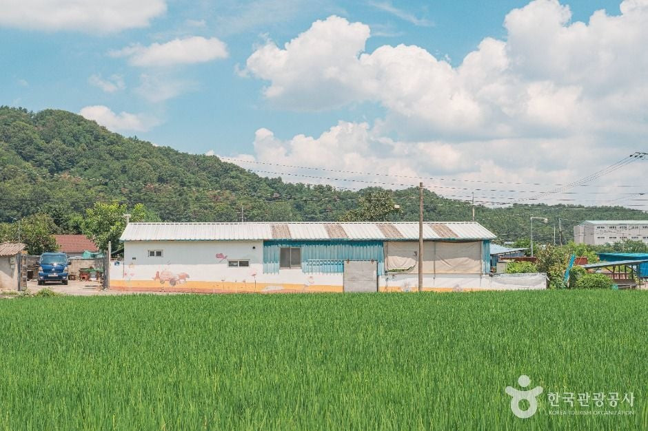 차리마을 여행 추천 - 로드트립