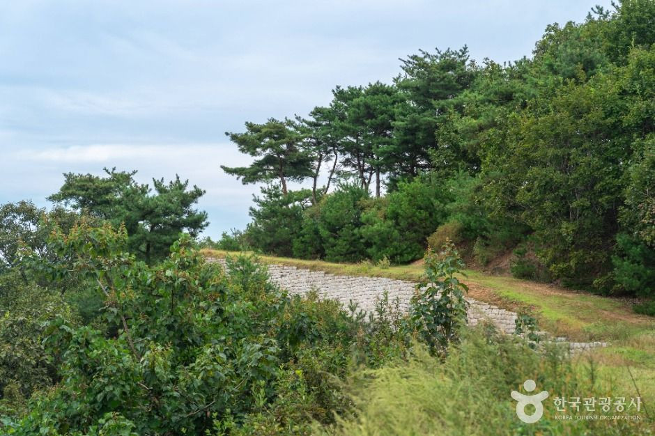 충주 장미산성 여행 추천 - 로드트립