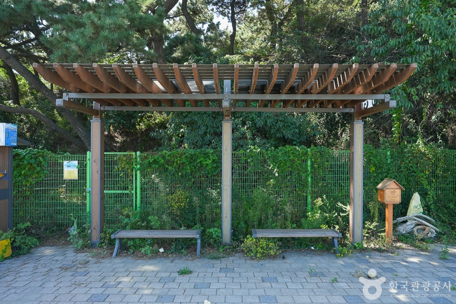 아암도해안공원 여행 추천 - 로드트립