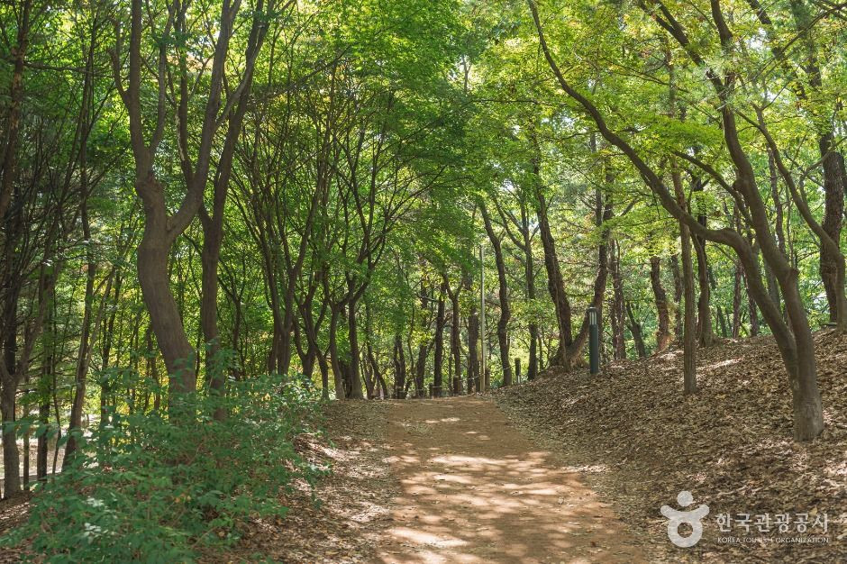 남선공원 여행 추천 - 로드트립