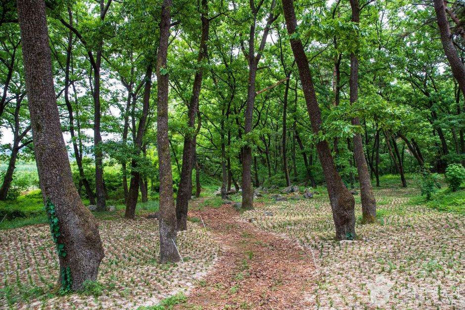 동호숲 여행 추천 - 로드트립