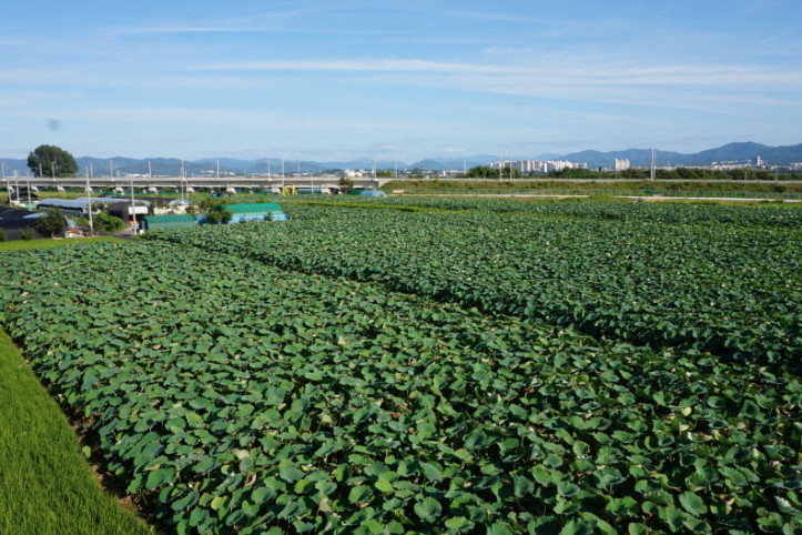 점새늪연꽃생태공원_1_공공3유형.jpg