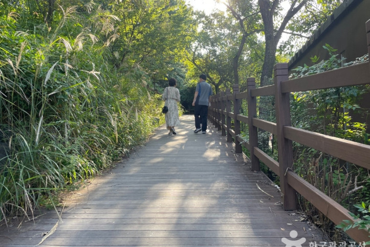 대구수목원 여행 추천 - 메고지고