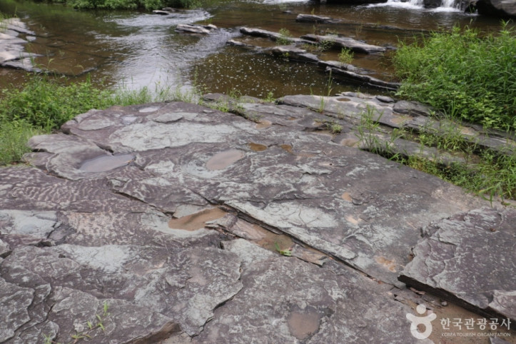 천전리공룡발자국화석_9_공공3유형.JPG