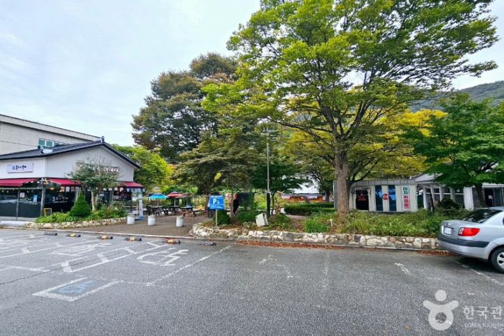 선운사(고창) 여행 추천 - 메고지고