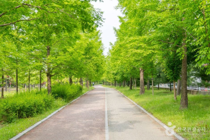 중보들공원_1_공공1유형.jpg