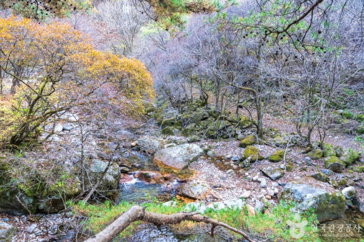 남천계곡_9_공공3유형.jpg