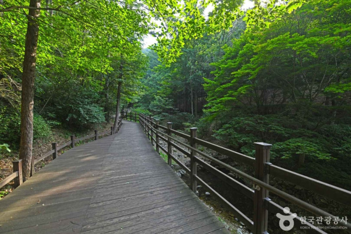 봉학골산림욕장_4_공공3유형.JPG