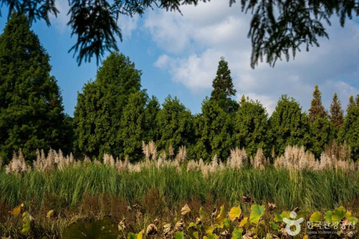 청산수목원_5_공공1유형.jpg