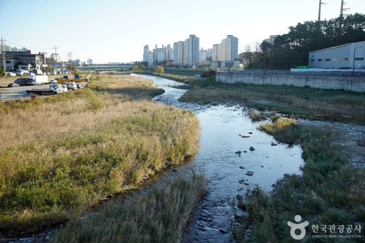 남대천(강릉)_6_공공3유형.jpg
