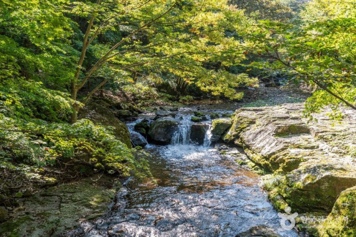 강천산_군립공원_3_공공1유형.jpg
