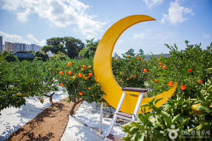 달달미깡감귤밭_5_공공3유형.jpg