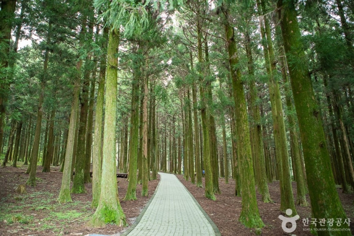 장생의숲길_4_공공3유형.jpg