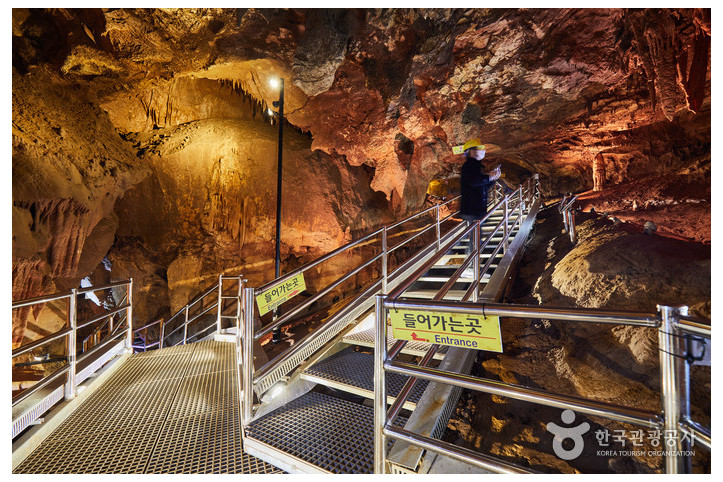 천곡황금박쥐동굴_3_공공3유형.jpg