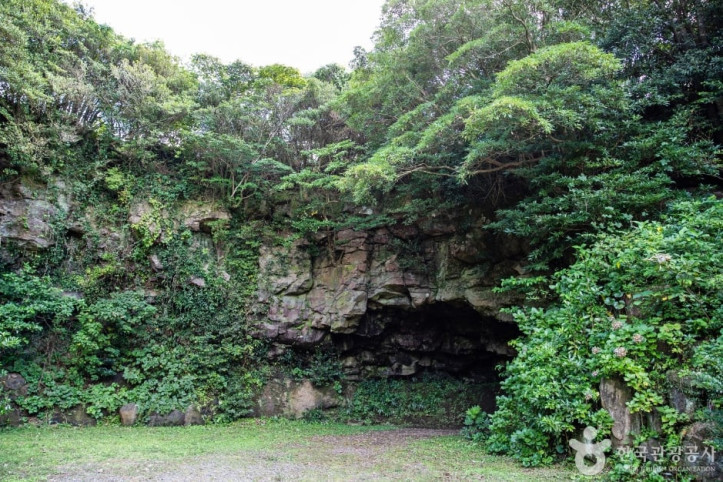 성읍녹차동굴_1_공공1유형.jpg