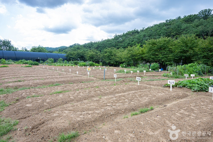 원두막주말농장_8_공공3유형.jpg