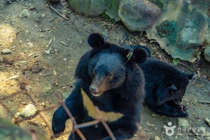 지리산_반달가슴곰_공존센터_8_공공1유형.jpg