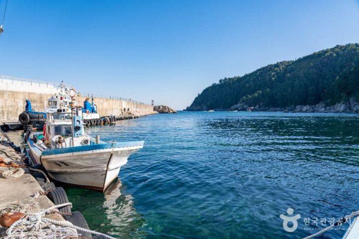 대진항(삼척)_3_공공1유형.jpg