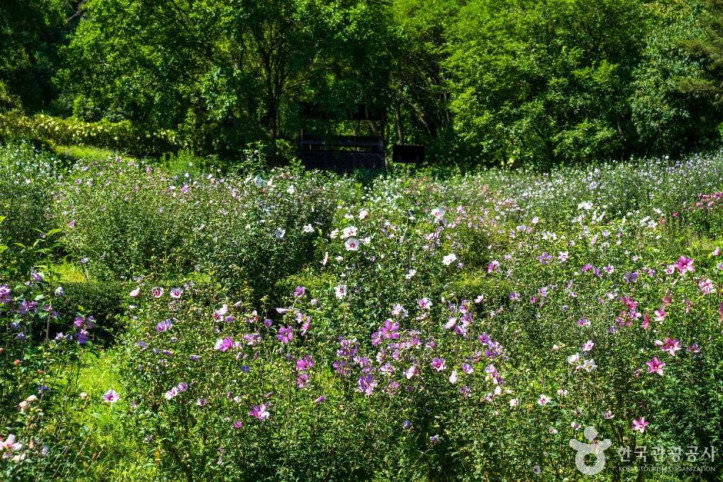 무궁화수목원_8_공공1유형.jpg