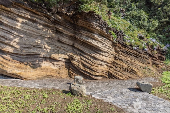 버섯바위_(울릉도,_독도_국가지질공원)_2_공공1유형.jpg