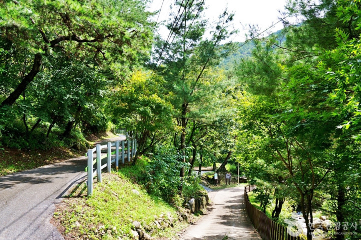 박달재자연휴양림_3_공공3유형.JPG
