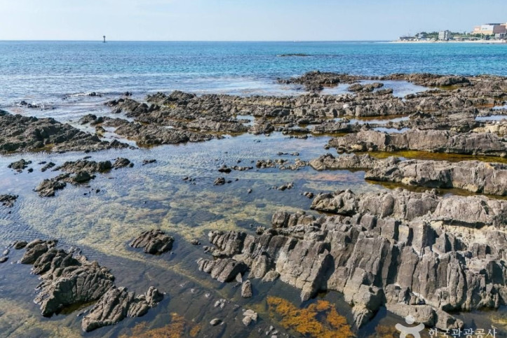 구룡포_주상절리_4_공공1유형.jpg
