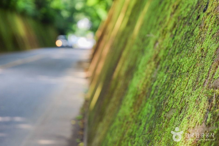 이끼터널_2_공공1유형.jpg