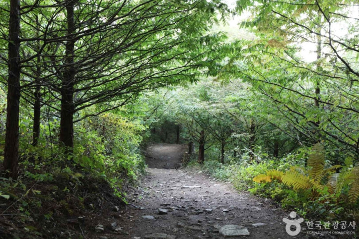 서후리숲_7_공공3유형.JPG