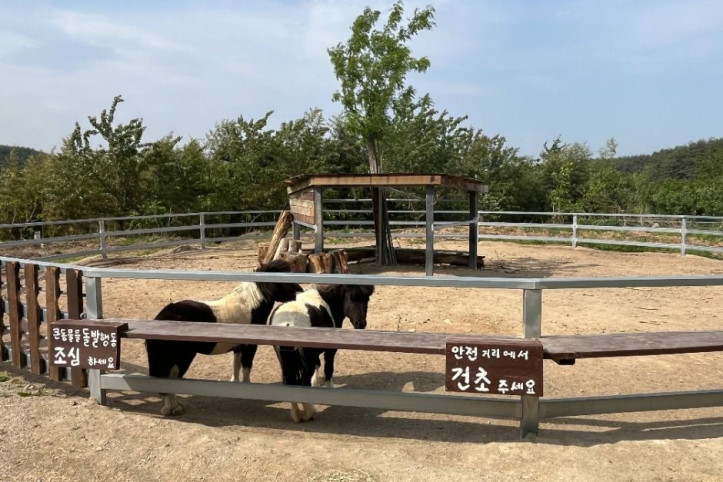 대관령아기동물농장_2_공공3유형.jpg