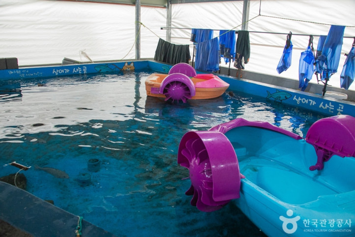 제주바다체험장_4_공공3유형.jpg