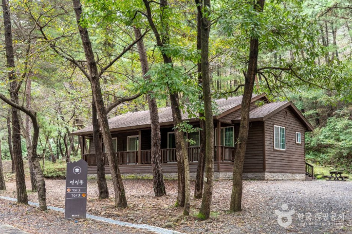 국립 희리산해송자연휴양림 여행 추천 - 메고지고
