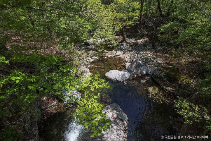 가야산국립공원(합천) 여행 추천 - 메고지고