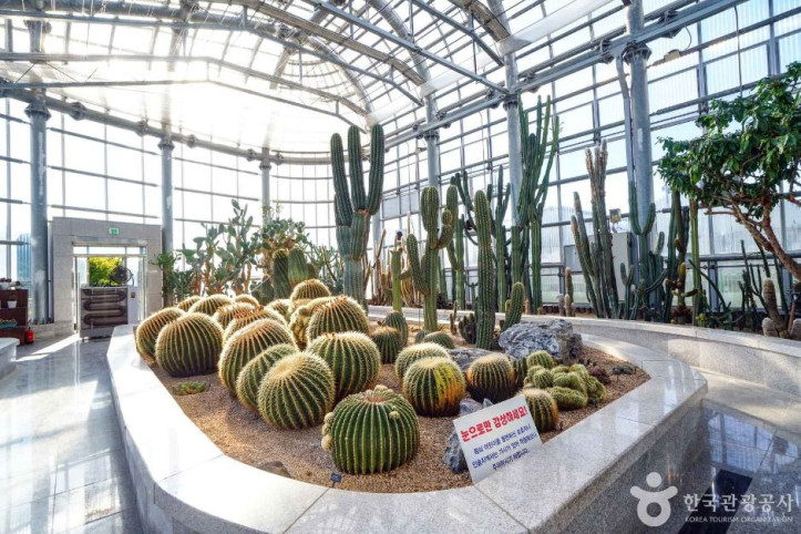 선인장다육식물연구소(구_선인장연구소)_5_공공3유형.JPG