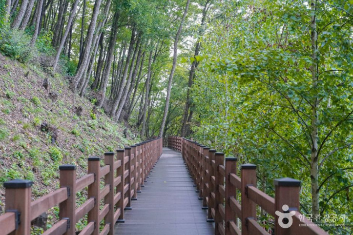 와룡자연휴양림_1_공공1유형.jpg