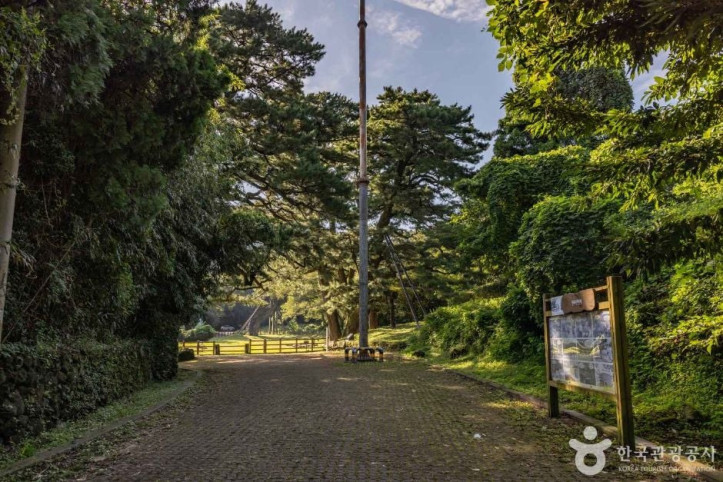 산천단곰솔_1_공공3유형.jpg