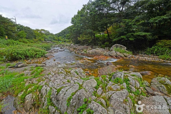 흥정계곡_3_공공3유형.JPG