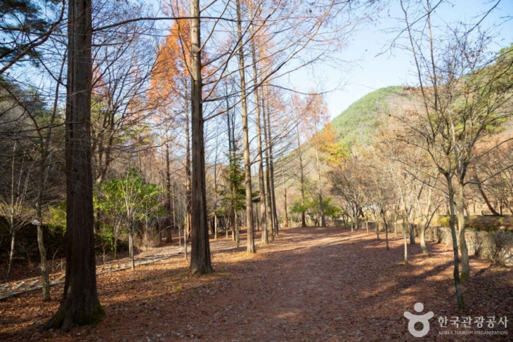 상소동 산림욕장 여행 추천 - 메고지고
