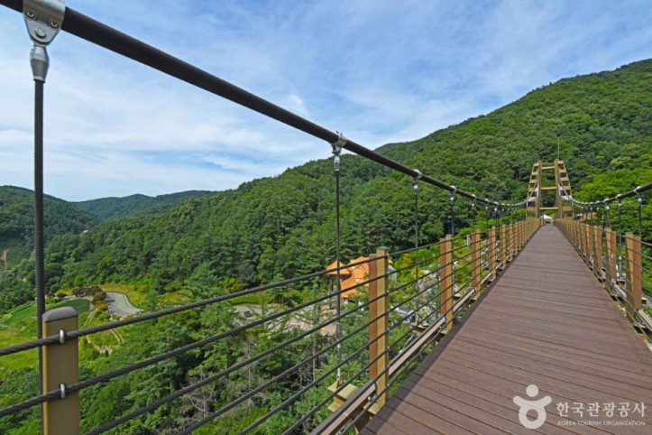 증평_좌구산_명상구름다리_4_공공3유형.JPG