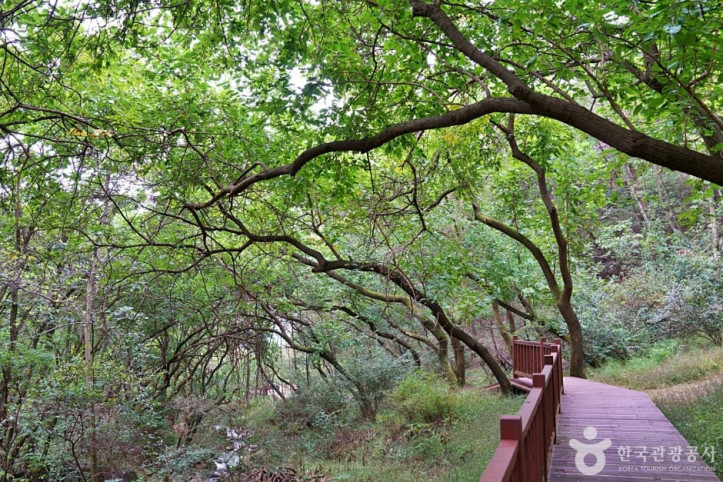 생거진천치유의숲_1_공공3유형.JPG