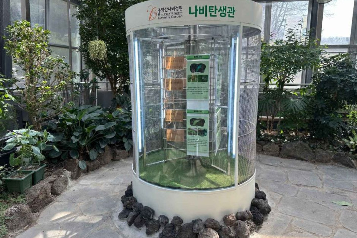 불암산나비정원 여행 추천 - 메고지고