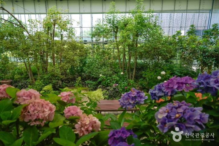 진해보타닉뮤지엄_6_공공1유형.jpg