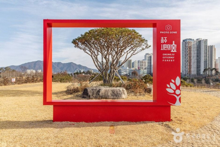 충주 시민의 숲 여행 추천 - 메고지고