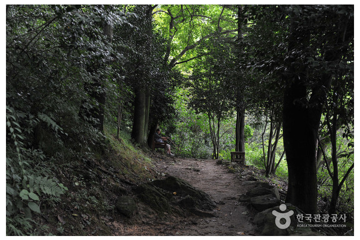 유달산_달성공원_4_공공3유형.jpg