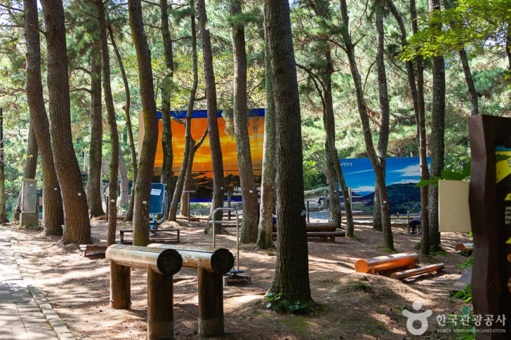 사라봉공원_3_공공3유형.jpg