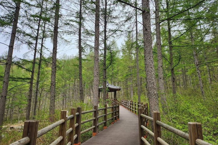 국립김천치유의숲_3_공공3유형.jpg